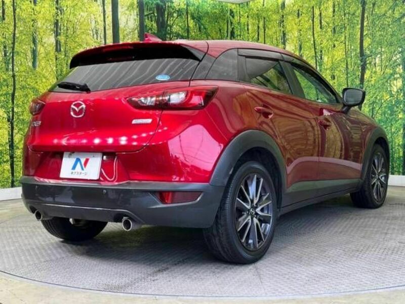 CX-3-17