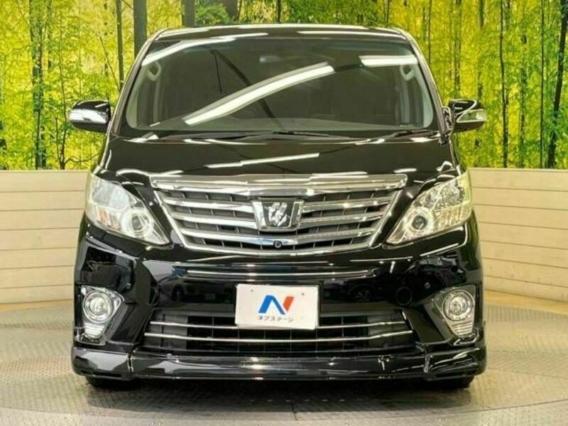 ALPHARD-16