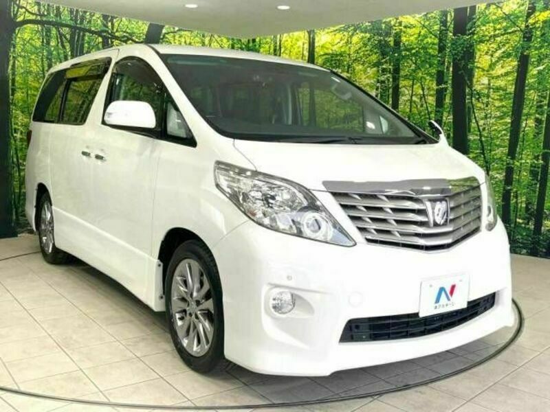 ALPHARD-17