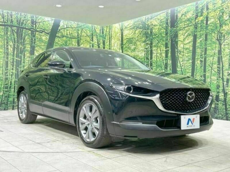 CX-30-16