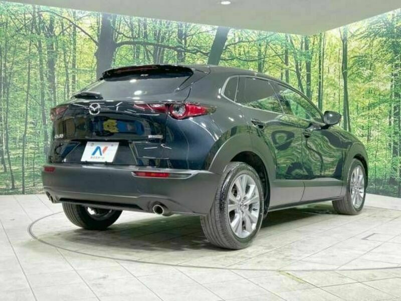 CX-30-17