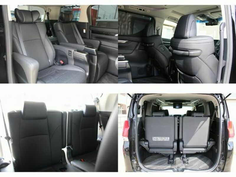 ALPHARD-12