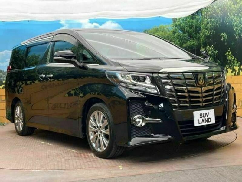 ALPHARD-14