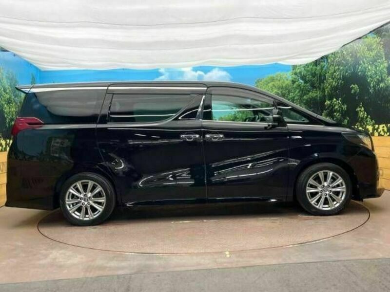 ALPHARD-15