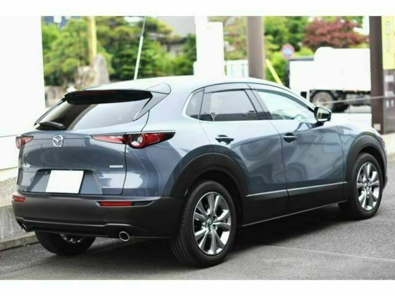 CX-30-8