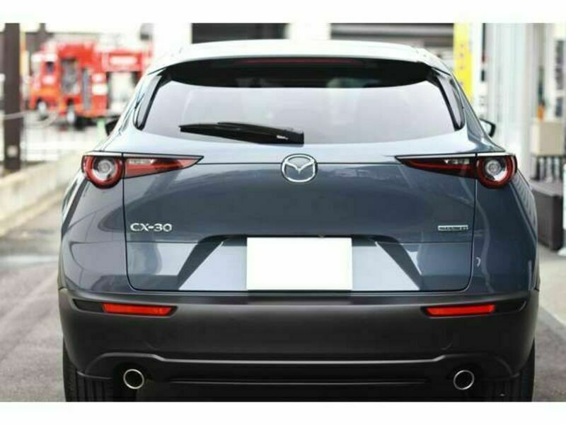 CX-30-10