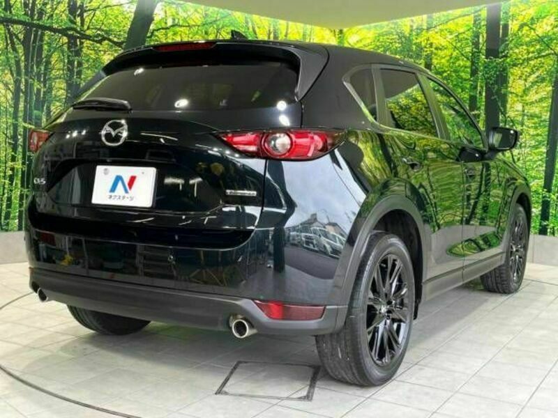 CX-5-17