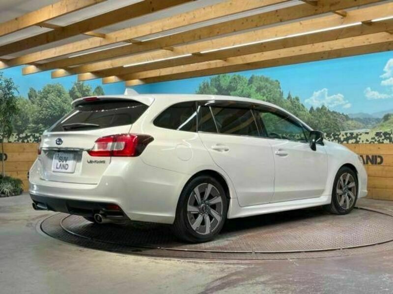 LEVORG-17