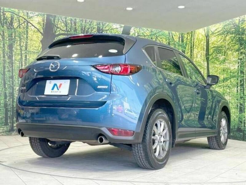 CX-5-17