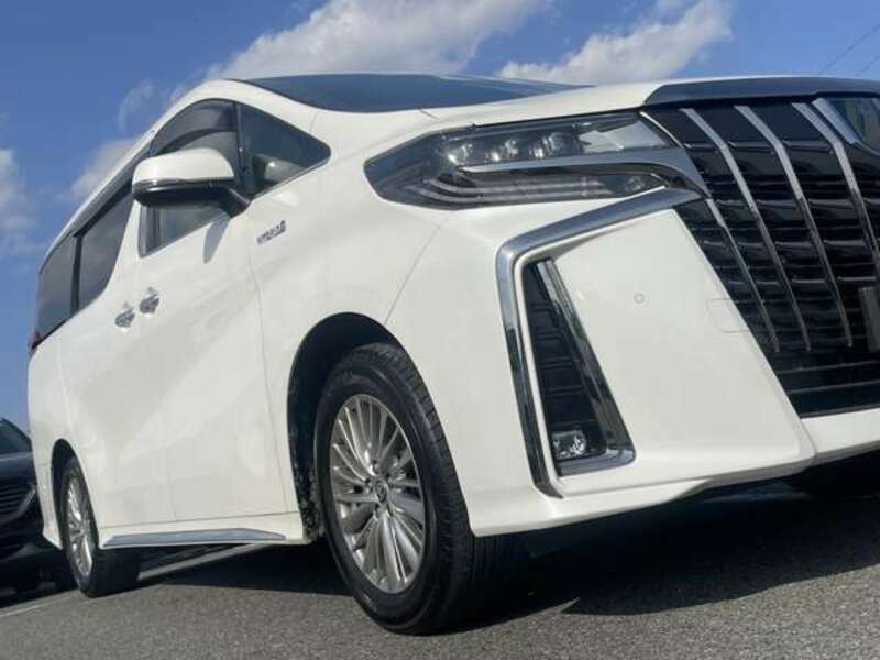 ALPHARD-16