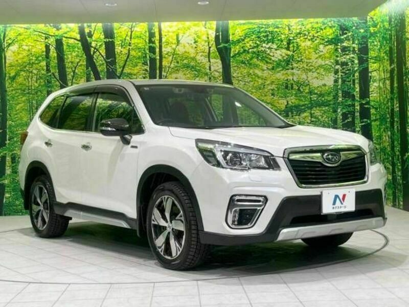 FORESTER-17