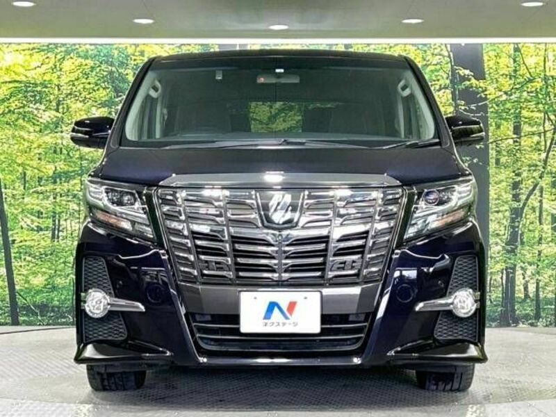 ALPHARD-14