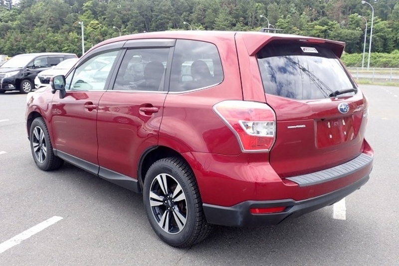 FORESTER-5