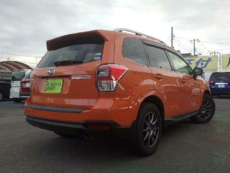 FORESTER-1