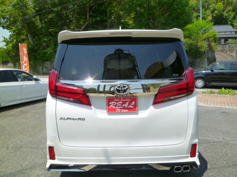 ALPHARD-6