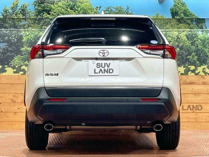 RAV4-22