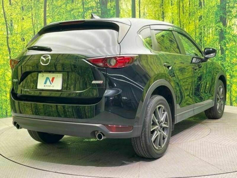 CX-5-17