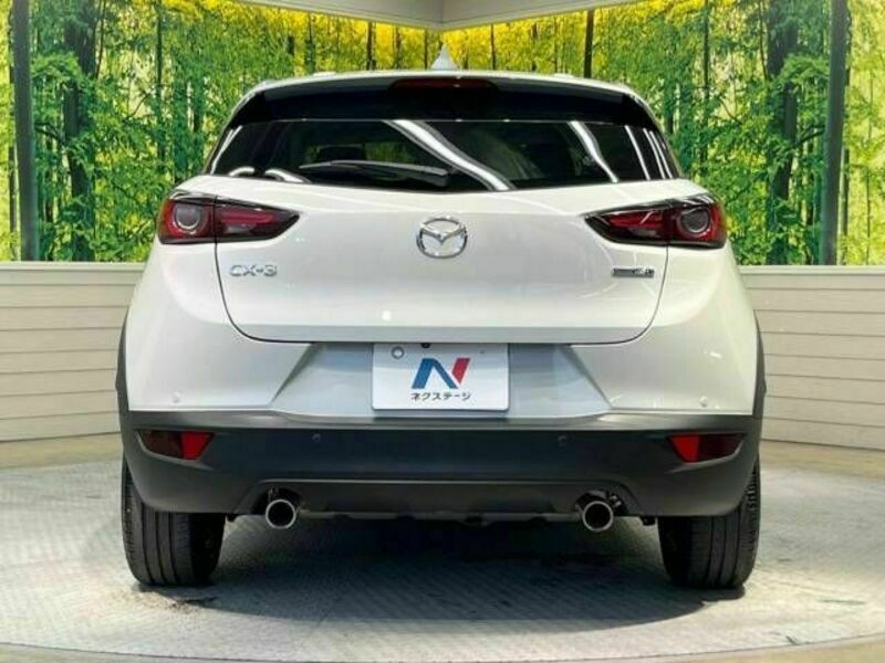 CX-3-15