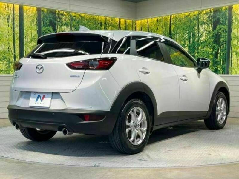 CX-3-17