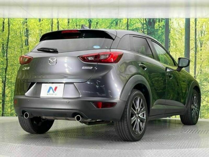 CX-3-17