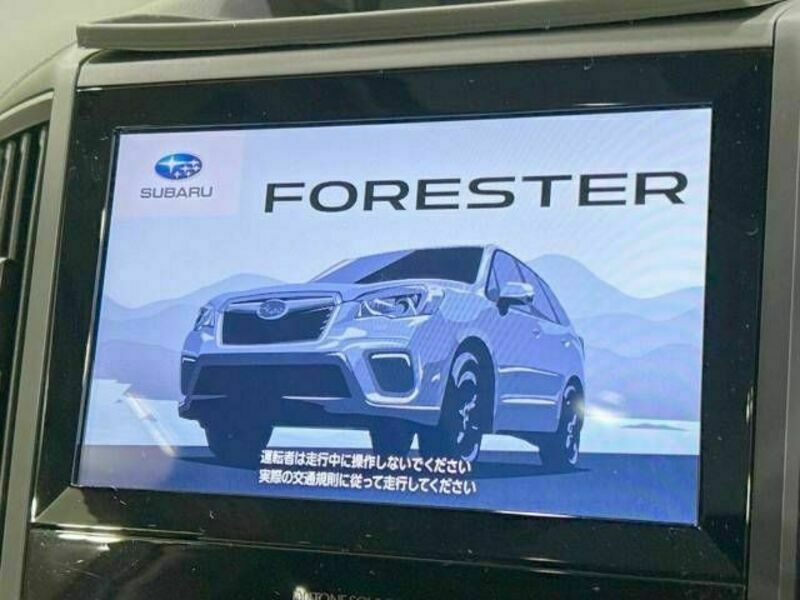 FORESTER-3