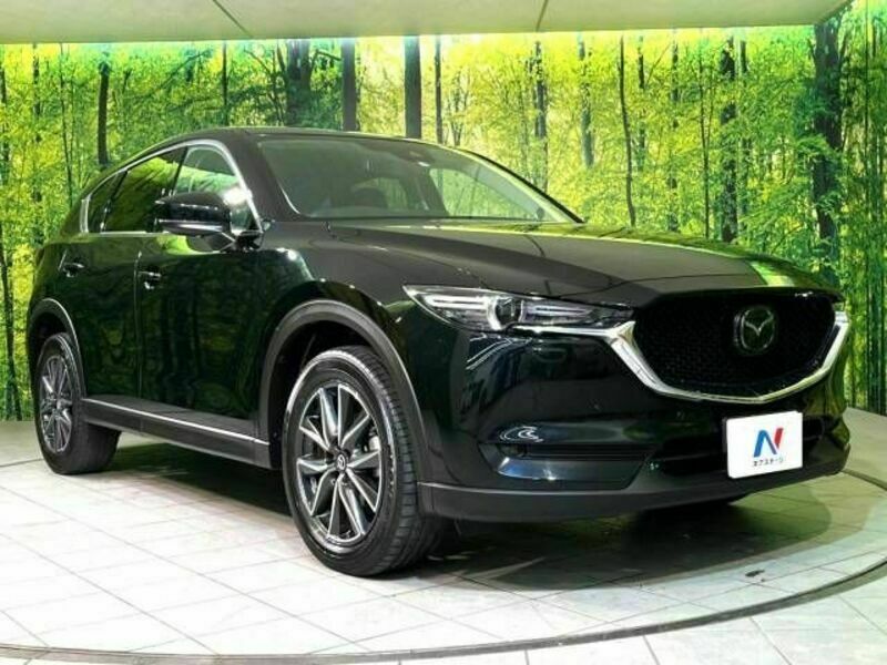 CX-5-17