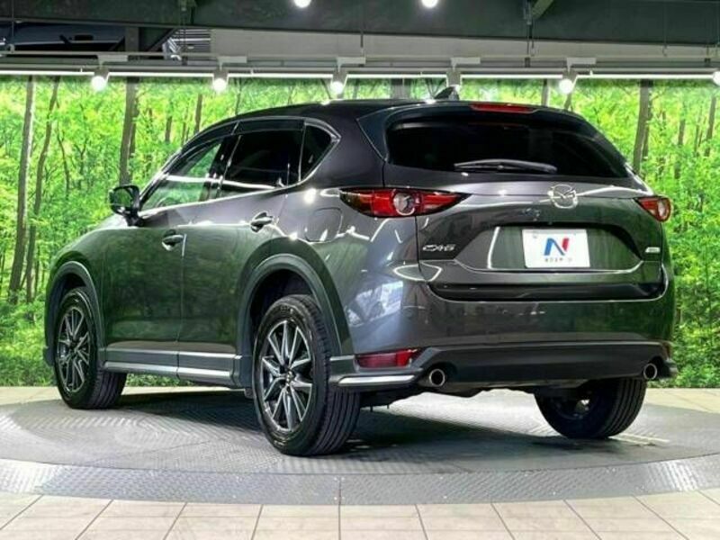 CX-5-17