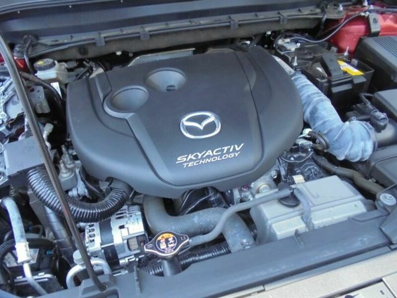 CX-8