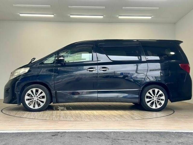 ALPHARD-13