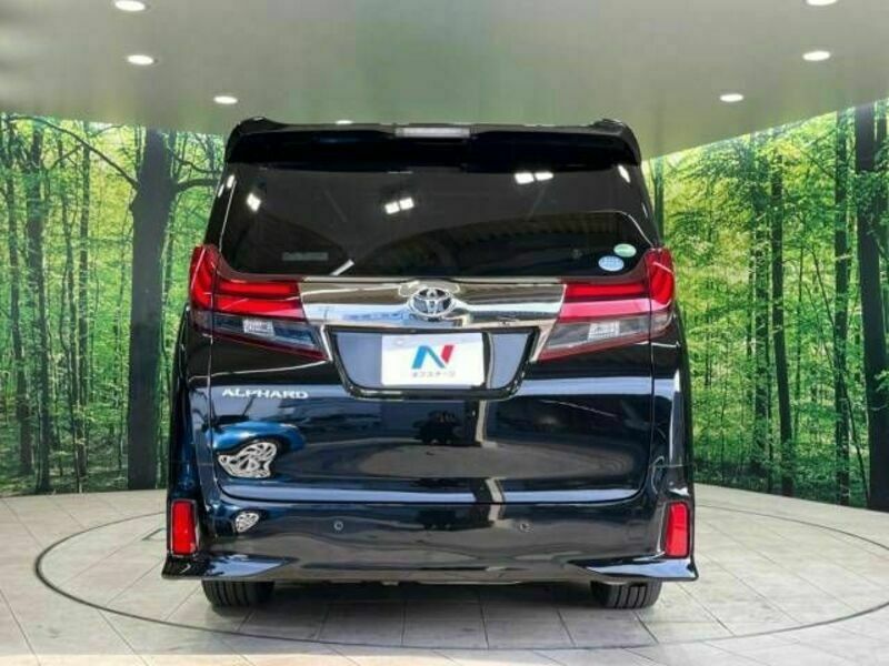 ALPHARD-14