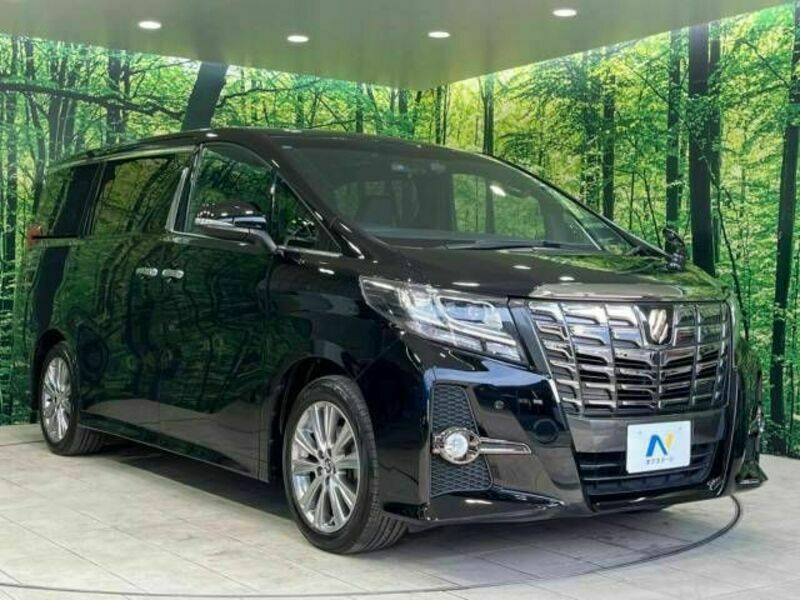 ALPHARD-15