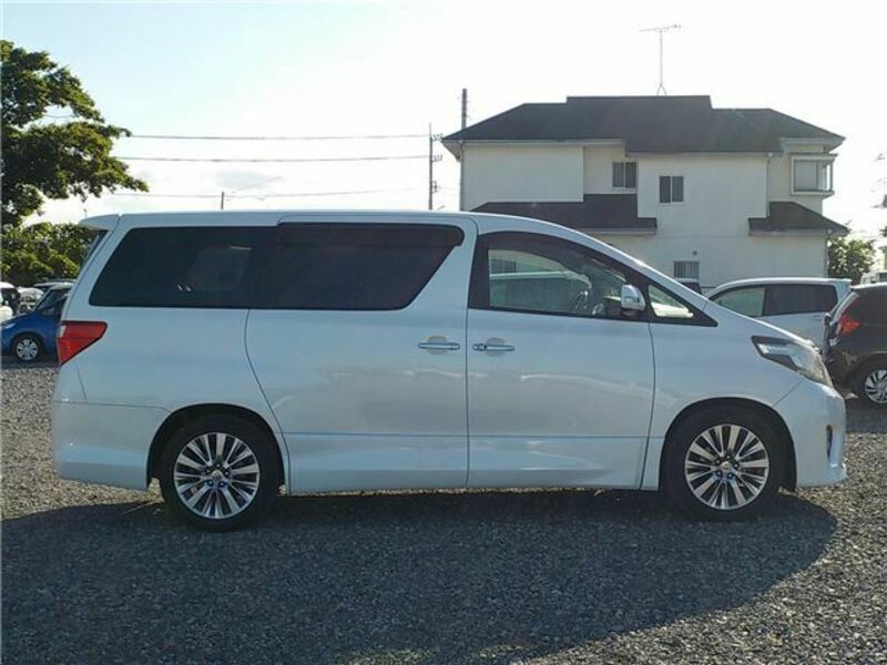 ALPHARD-14