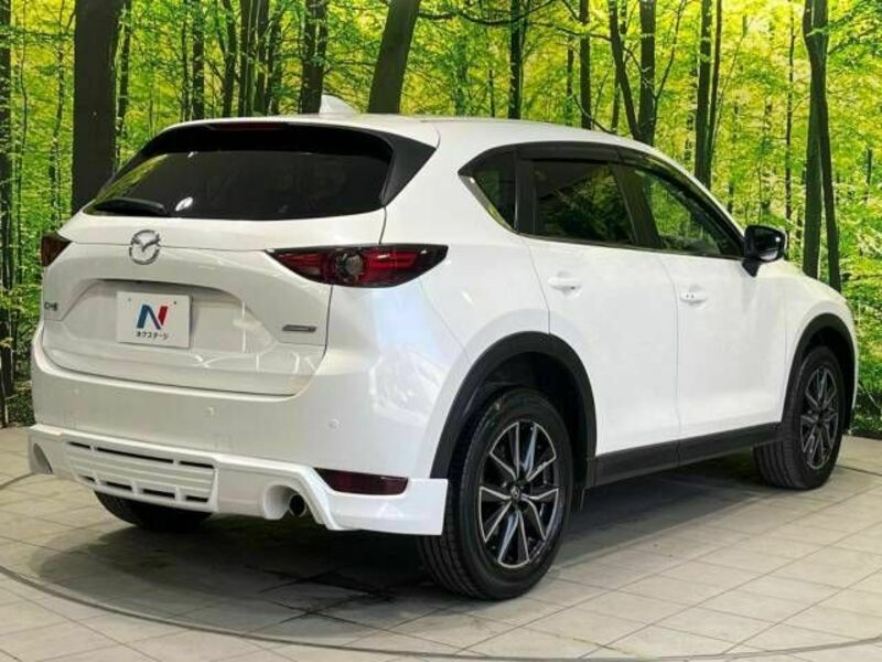 CX-5-17