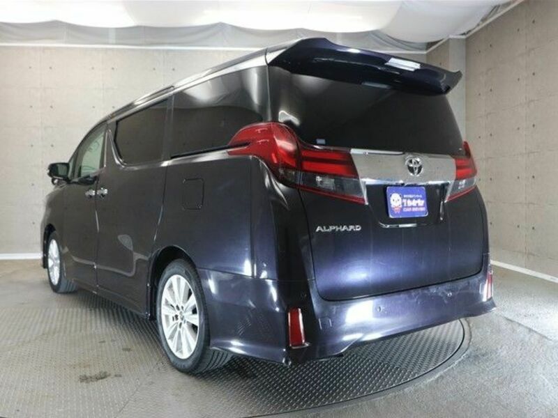 ALPHARD-24