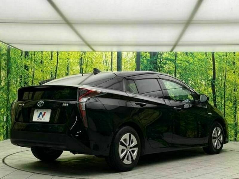 PRIUS-17