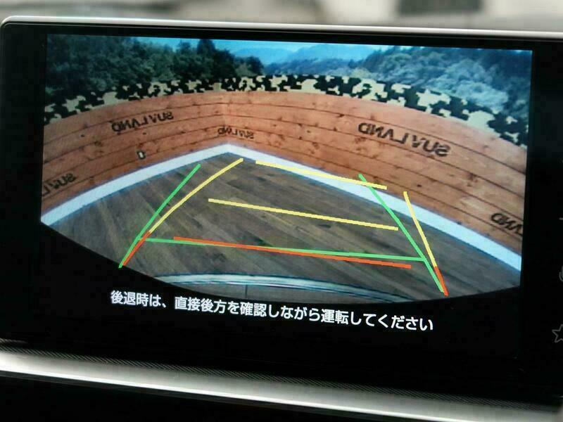 RAIZE