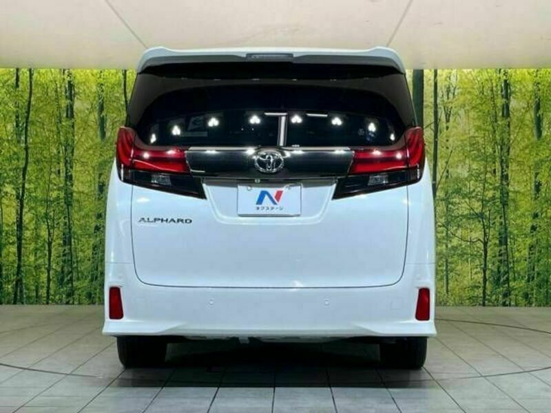 ALPHARD-16