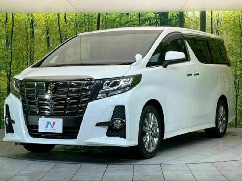 ALPHARD-17