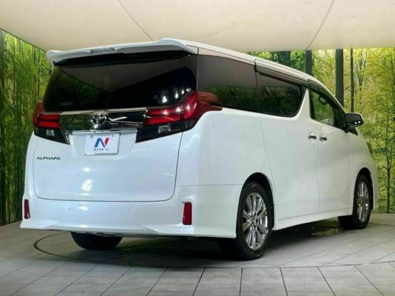 ALPHARD-18