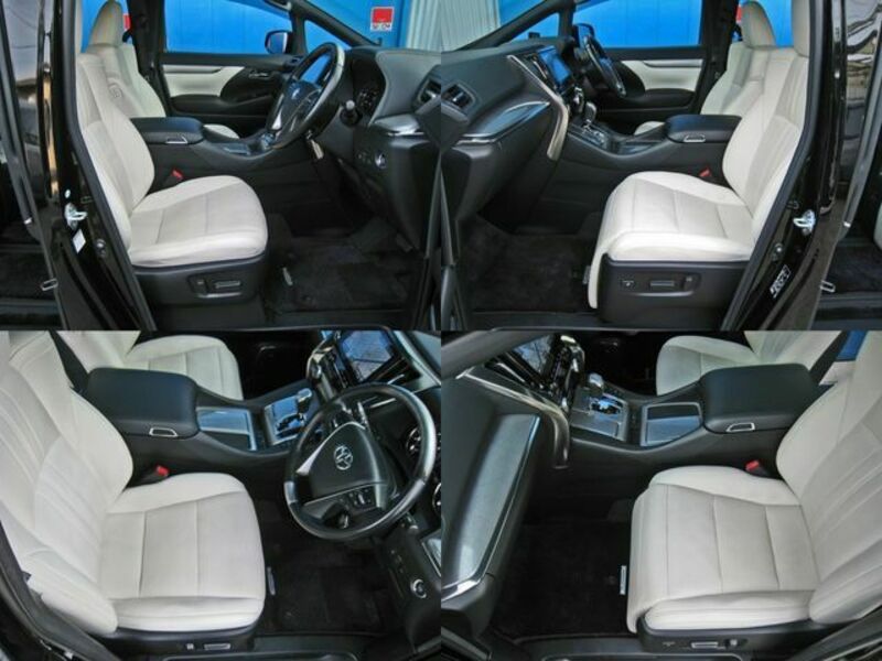 ALPHARD-22