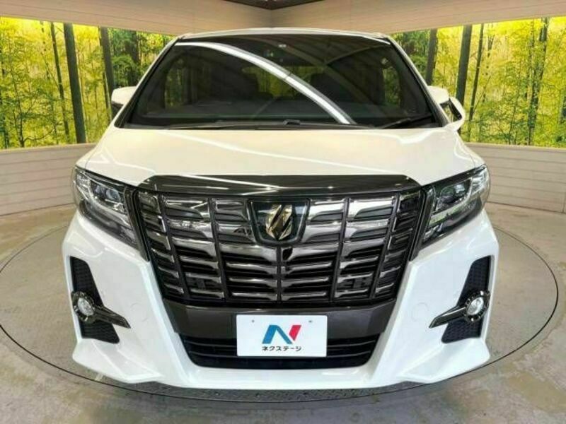 ALPHARD-15