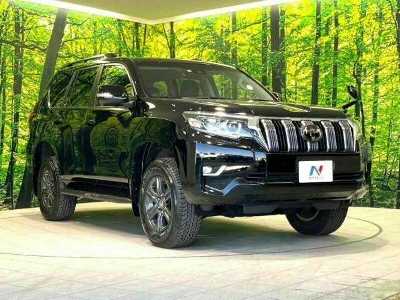 LAND CRUISER PRADO-17