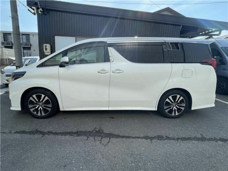 ALPHARD-18