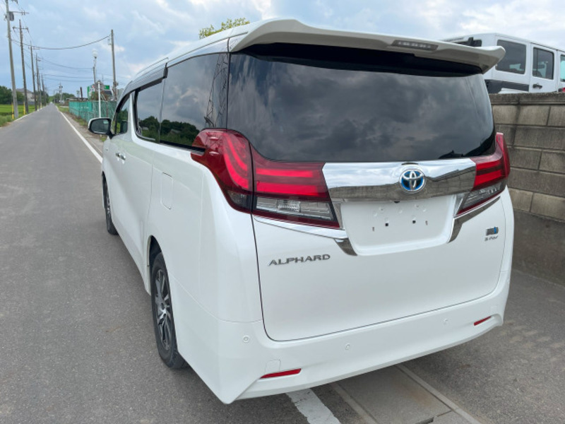 ALPHARD-14