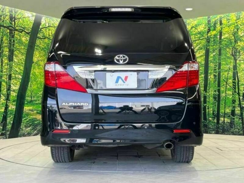 ALPHARD-16