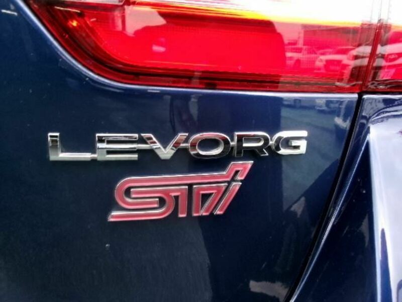 LEVORG-29