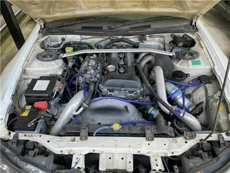 SILVIA-6