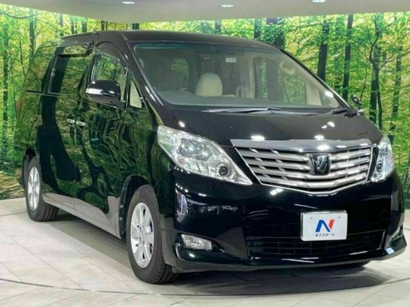 ALPHARD-16