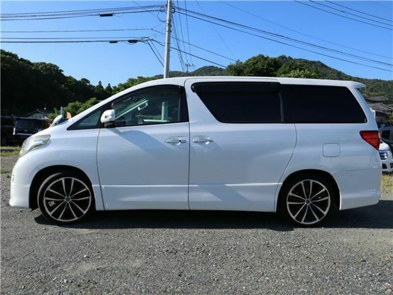 ALPHARD-19