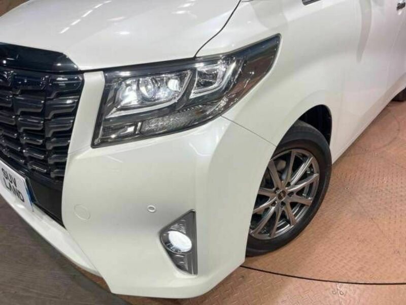 ALPHARD-11